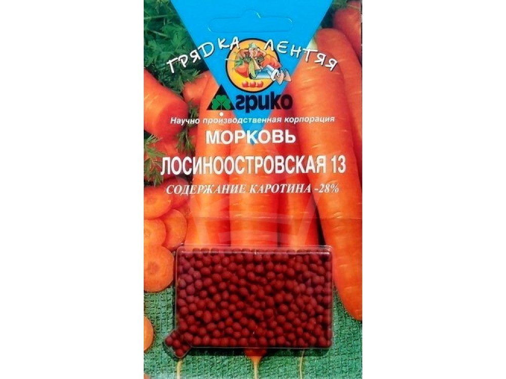 Лосиноостровская морковь описание и фото