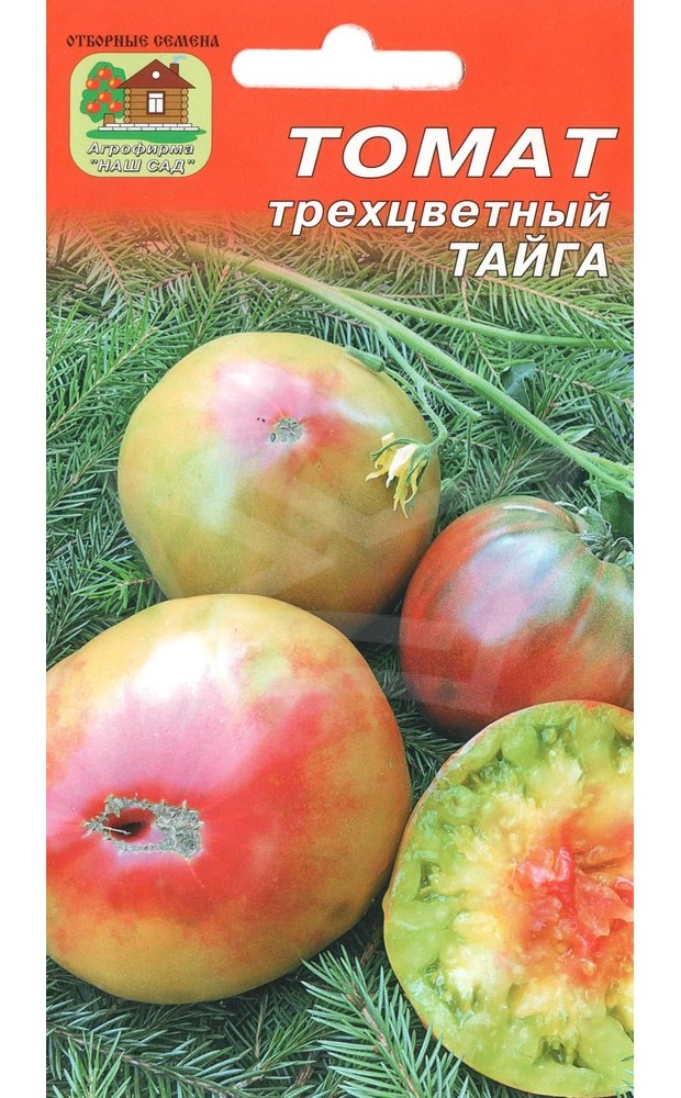 Тайга томат описание. Томат Тайга семена. Сорт томата Тайга. Семена томат трехцветный Тайга. Томаты Тайга и тундра.