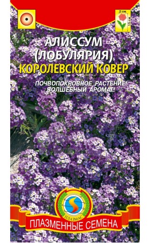 Лобулярия (приморская) Алиссум Королевский ковер (лавандово-фиолетовый) 0.1г #Плазма