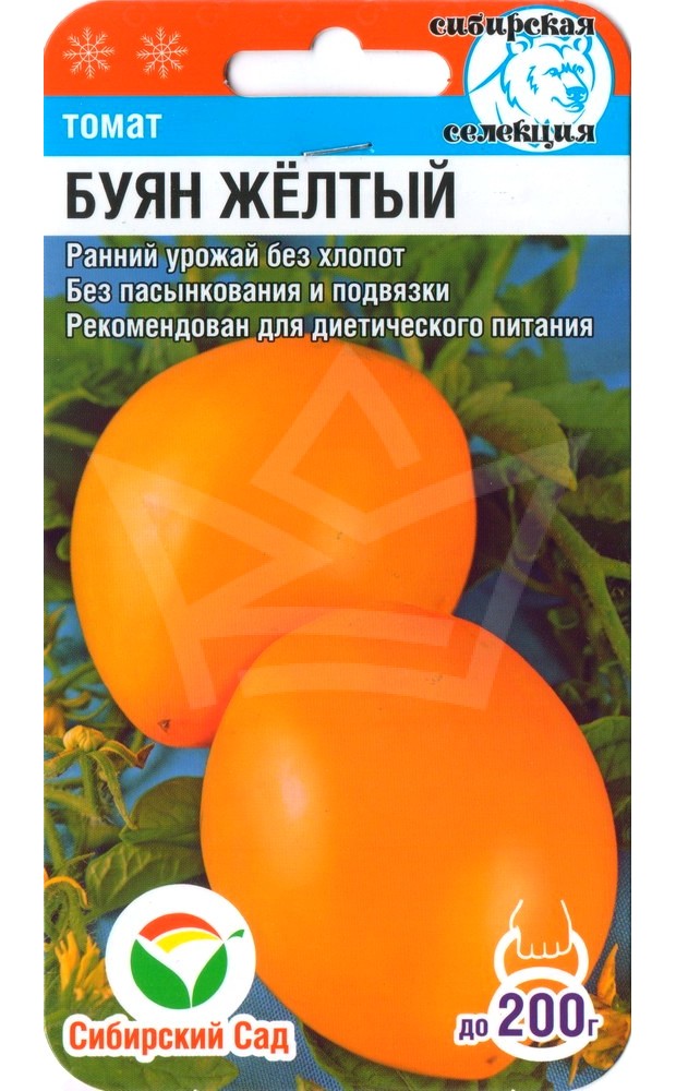 Буян желтый томат описание. Семена томат Буян желтый. Помидор сорт Буян желтый. Боец (Буян) 20шт томат (Сиб сад). Томат сорта Буян желтый.